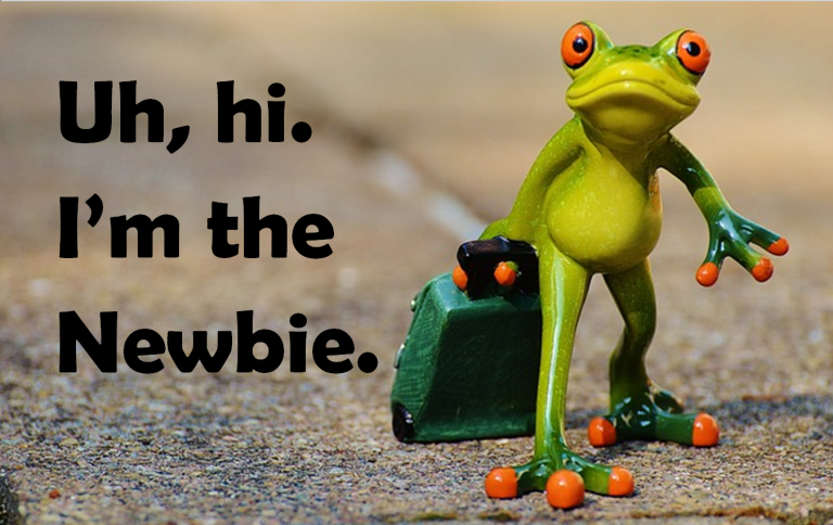 fresher-tester-newbie-768x484.png