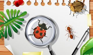 Tester làm gì khi sót bug?